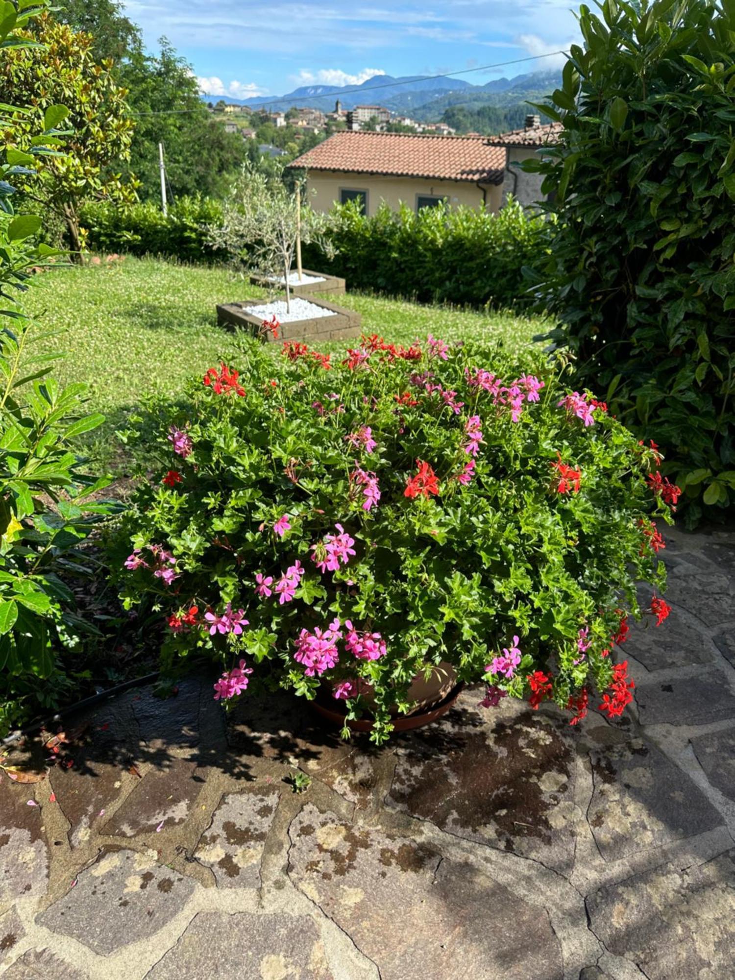 Casa Margherita Celide San Romano in Garfagnana Exterior foto